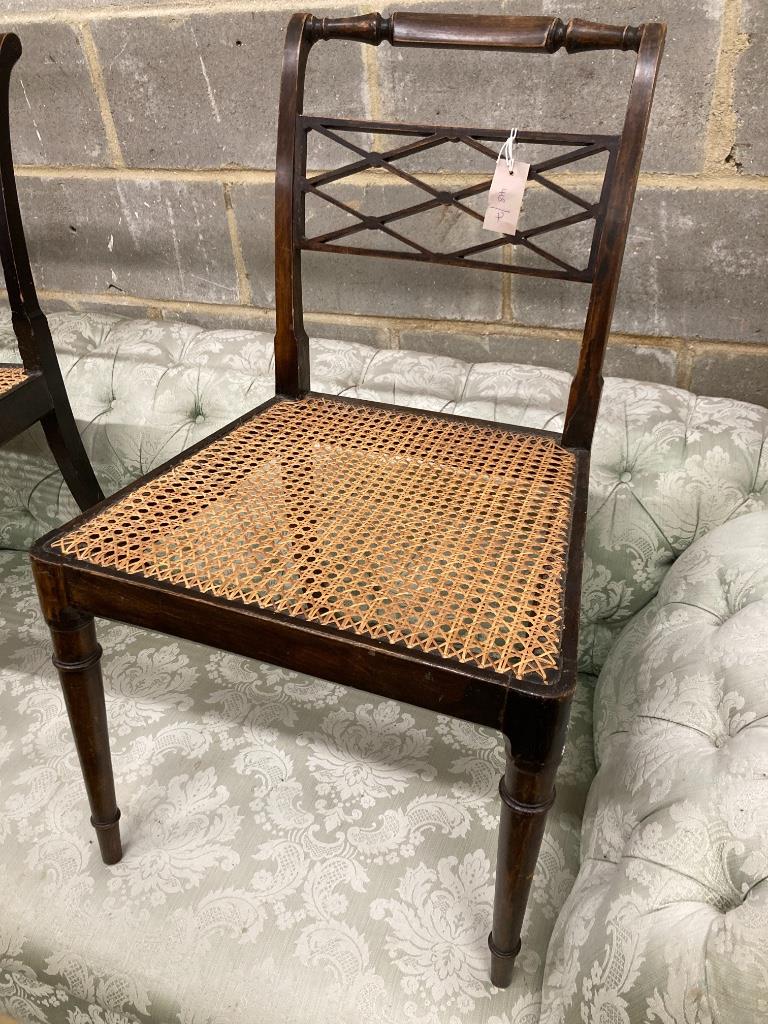 A pair of Regency beech cane seat chairs